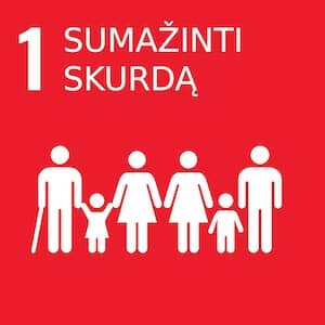 Tvarumas 2 1