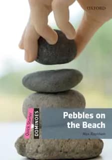 Book Club, 2023 5 Pebbles on the Beach